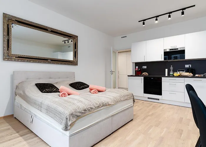 Apartament Modern Deluxe *
