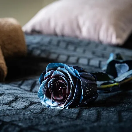 Modern Deluxe Appartement *